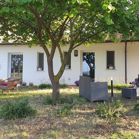 Agriturismo Podere Il Fitto Campiglia Marittima Zewnętrze zdjęcie