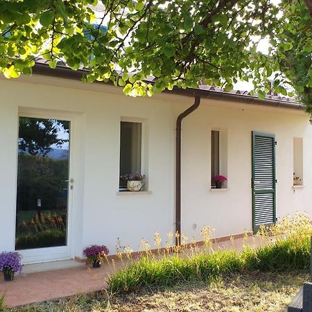 Agriturismo Podere Il Fitto Campiglia Marittima Zewnętrze zdjęcie